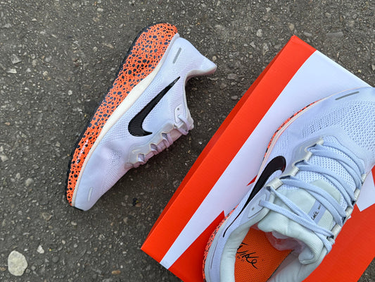 NIKE PEGASUS